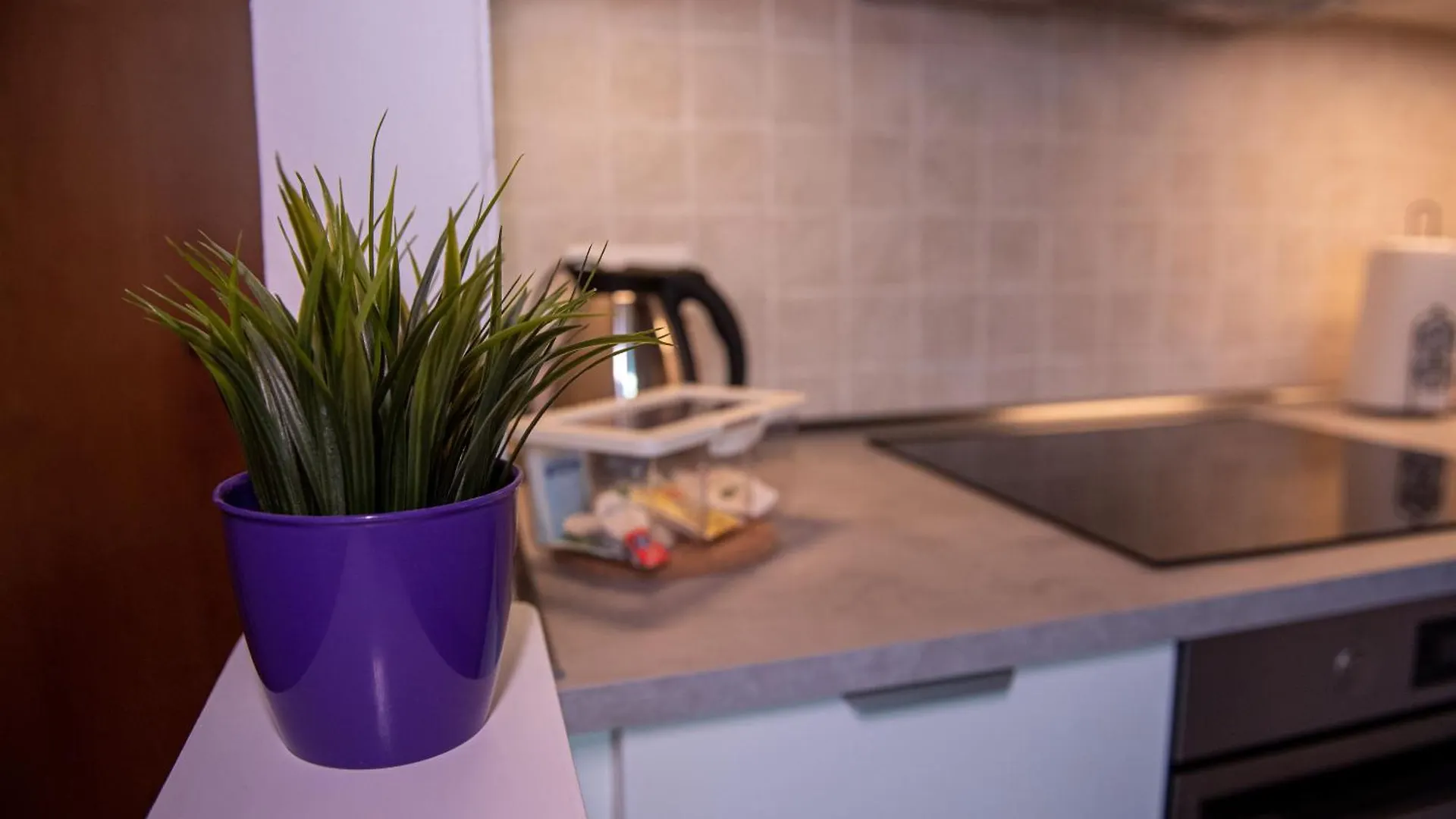 Delizioso Appartamento In Pisa Casa Mima Apartmán