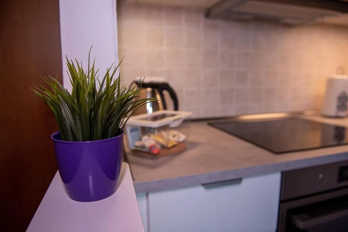 Apartment Delizioso Appartamento In Pisa Casa Mima
